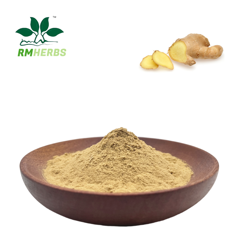 ginger Extract