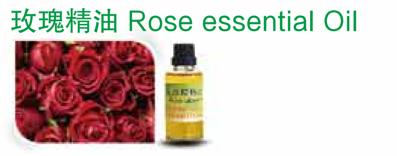  Rose essential Oil