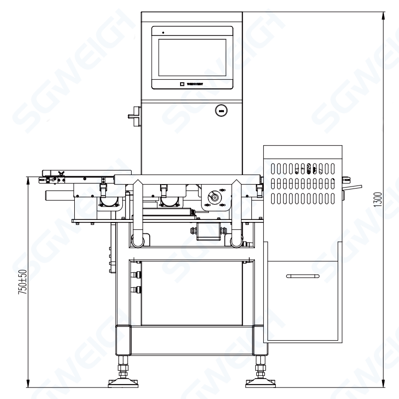SG-100 Online Automatic Checkweigher 