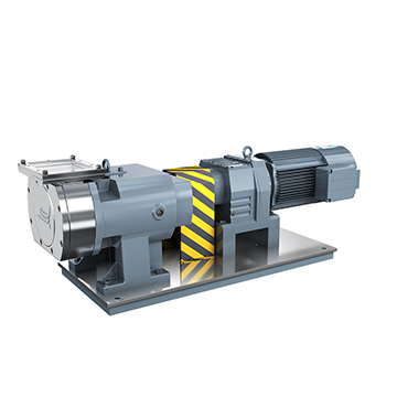 Bonve Pump Industry Sauce Pump