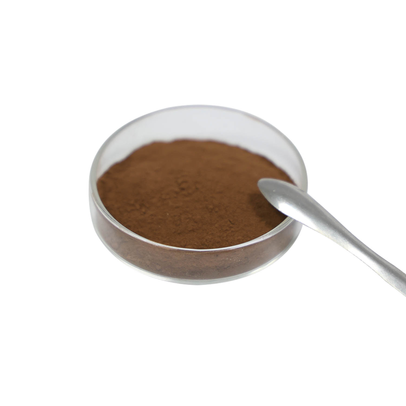 Reishi Mushroom Extract