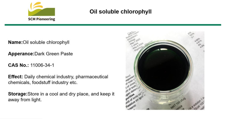 Oil soluble chlorophyll