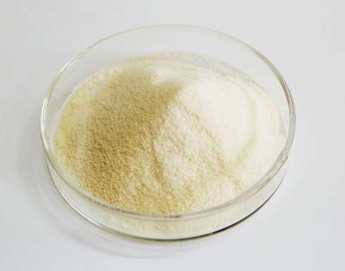 Lysozyme