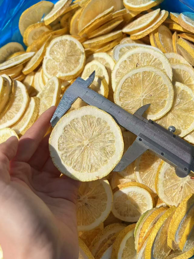 Freeze-dried lemon slices