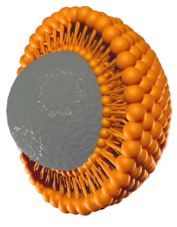 Ironnox™ Liposomal Iron
