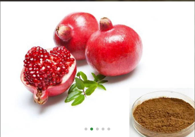 Pomegranate Extract