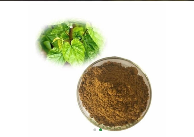 Mulberry Leaf Extract