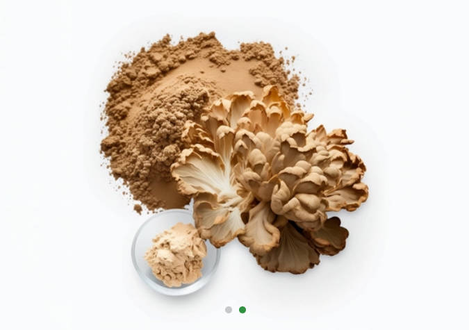 Maitake Whole/ Cut/ Powder/ Extract