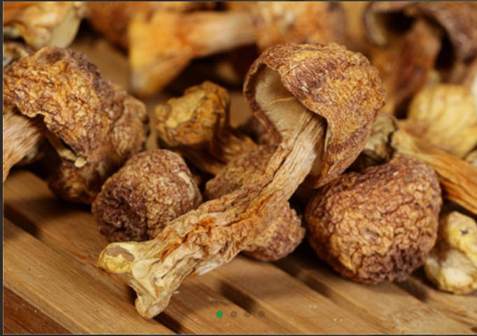 Agaricus Whole/ Cut/ Powder/ Extract