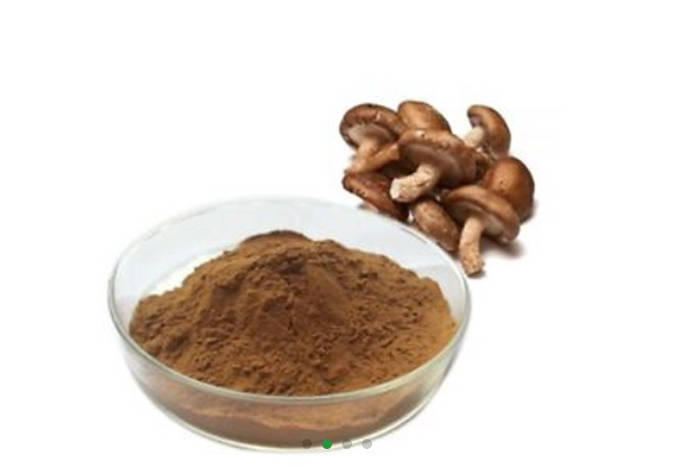 Shiitake Whole/ Cut/ Powder/ Extract