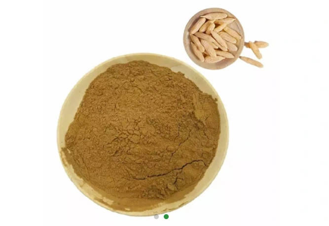 Ophiopogon Japonicus Powder