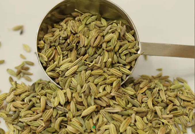 Fennel Seed Extract