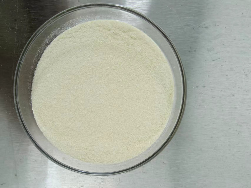 VPro®Bifidobacterium longum CCFM760