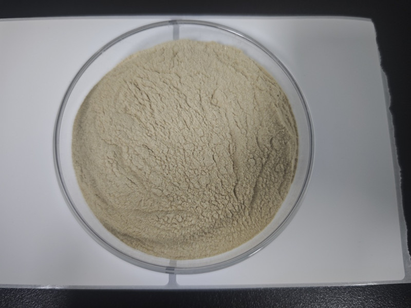 Bacillus coagulans -39