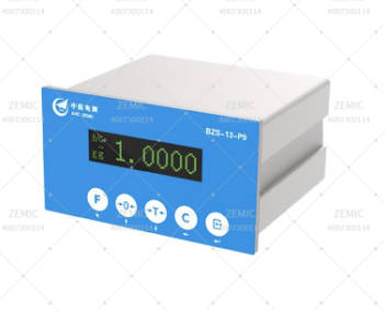 BZS-13-P9 Weighing Instrument
