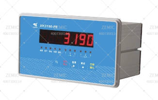   XK3190-P8 Weighing Instrument