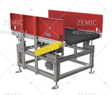 TCS-P1 Dynamic Weighing Scale