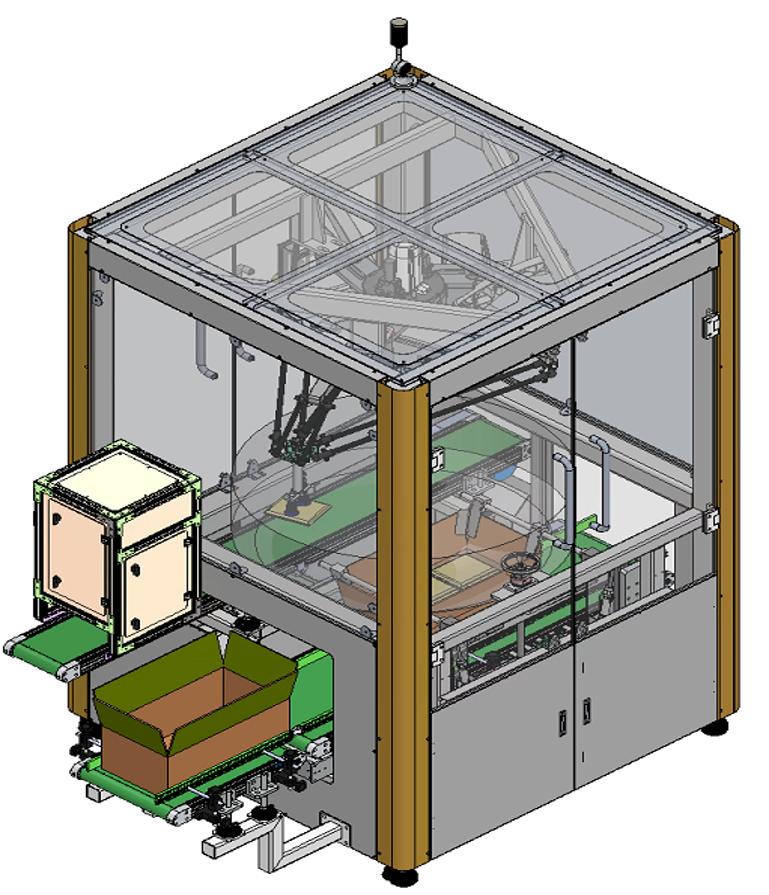 Phoenix Automatic Case Packing Workstation