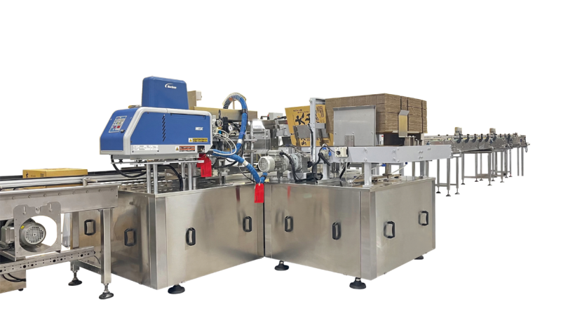 YH WCP-35 Automatic Wrap-around Case Packer