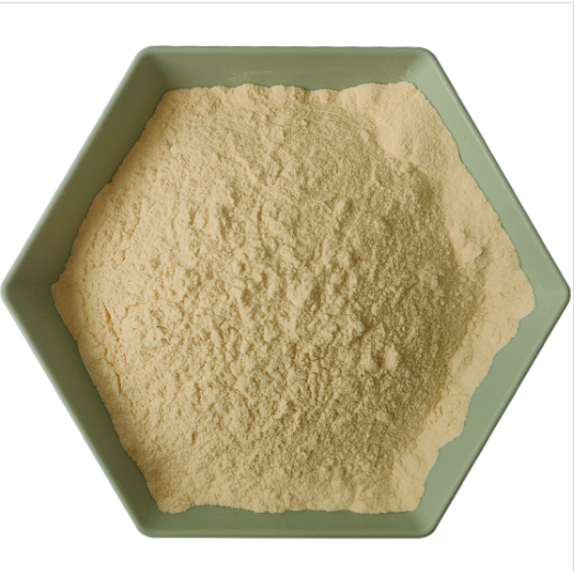 Soy milk powder
