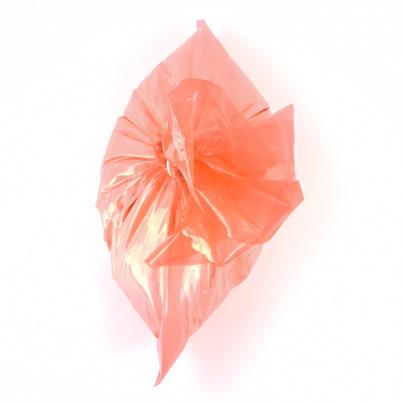 25KG Powder packing bag