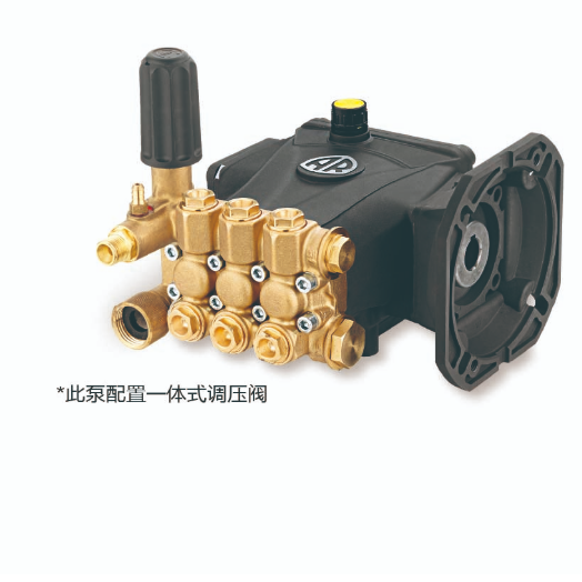 piston pumpsRC 1450 RPM C shaft 24mm hollow shaft +F44 flange + Integrated pressure regulator - suit
