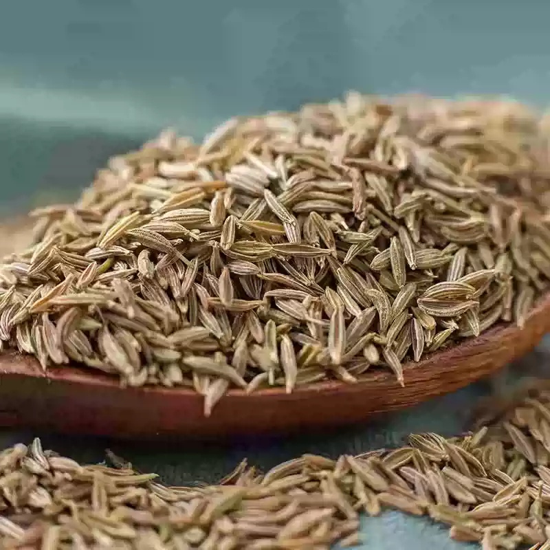 Cumin Extract