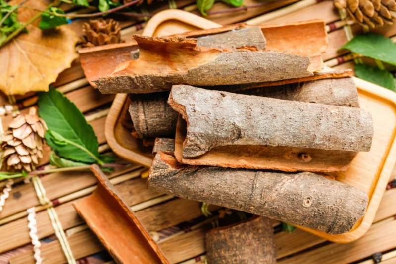Cinnamon Extract