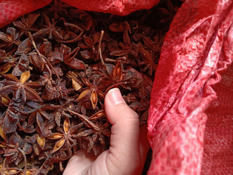Star Anise Extract