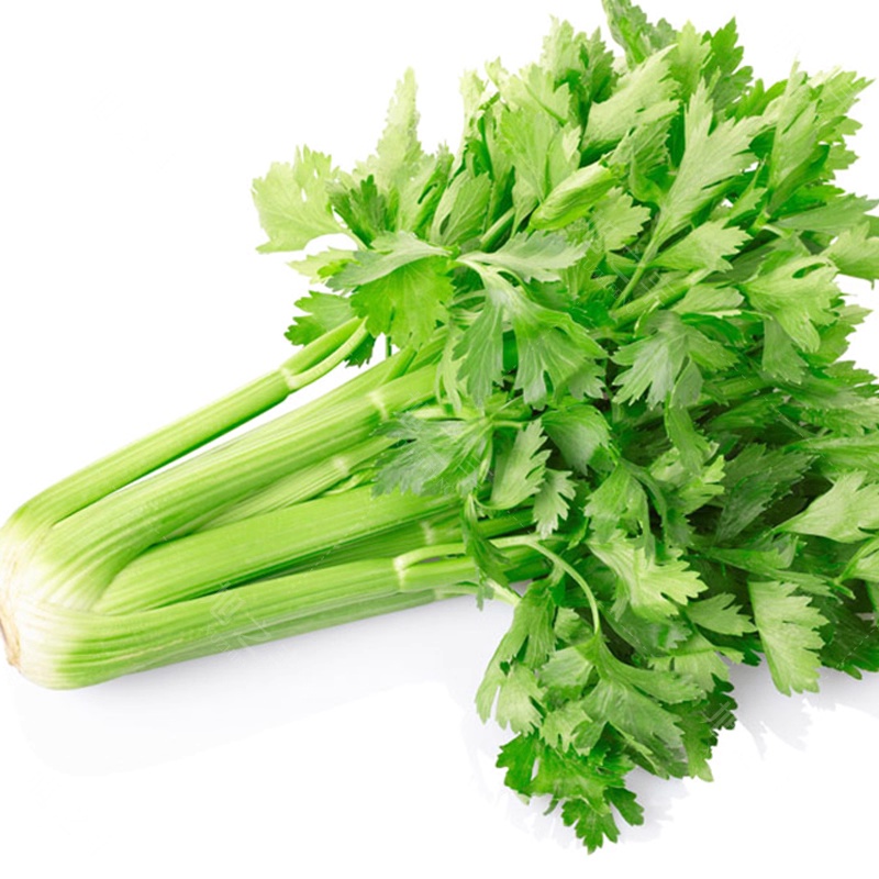 Celery Seed Extract