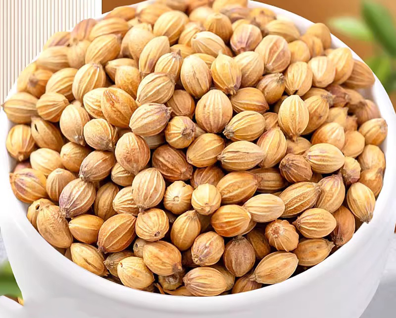 Coriander Seed Extract
