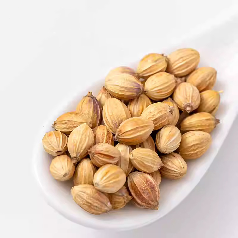 Coriander Seed Extract