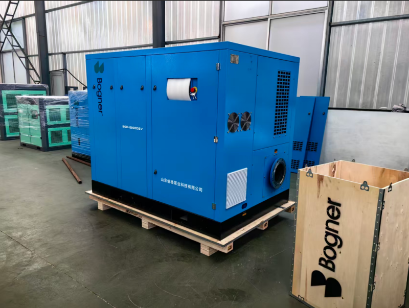 Oil-free screw vacuum pump