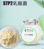 STP2乳酸菌