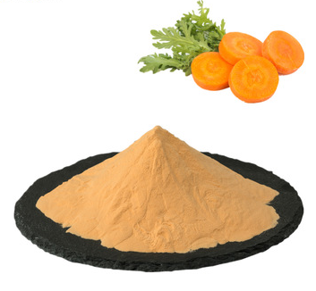 CARROT JUICE POWDER