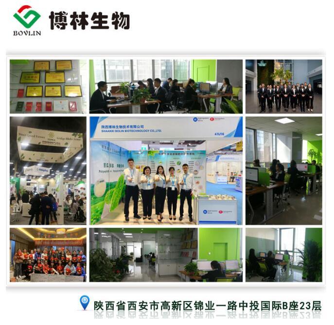 全水溶苦瓜汁粉 苦瓜浓缩粉 喷雾干燥 食品级  厂家直销