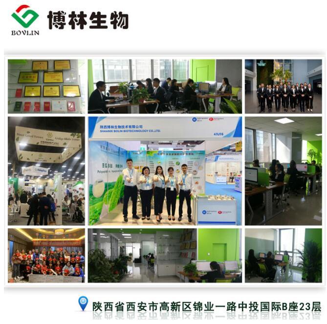 植物原料药粉叶上果提取物  椴树花提取物10:1 20:1 椴树花粉