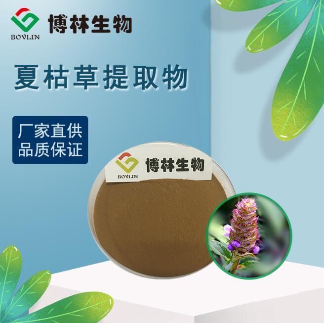 夏枯草提取物10:1 20:1夏枯头比例提取厂家直销  现货包邮