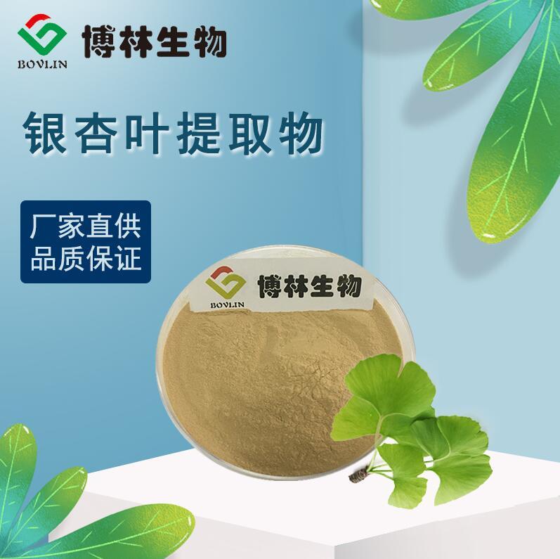 供应植物提取物 银杏叶提取物10:1   黄酮24%内酯6%   现货包邮