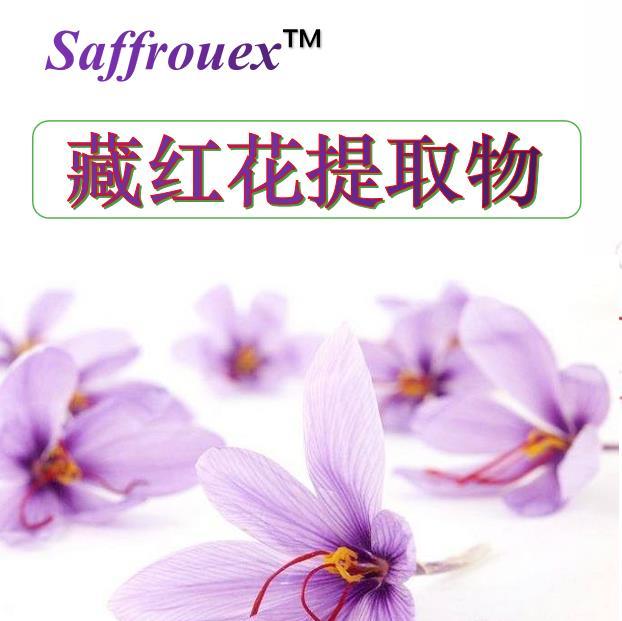 Saffrouex 藏红花提取物 | 藏红花提取物 | 妆药食同源藏红花