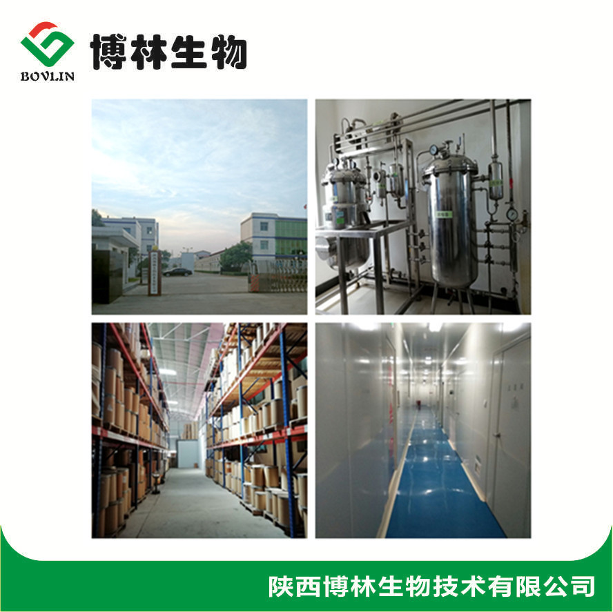 沙棘提取物  沙棘果粉  另有沙棘黄酮25%  直销包邮 现货1kg起售