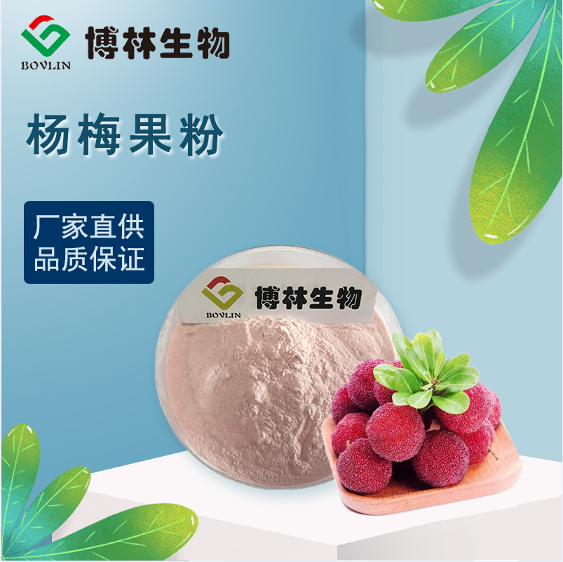 杨梅提取物 杨梅速溶果粉 100% 杨梅汁粉 喷雾干燥 直销包邮