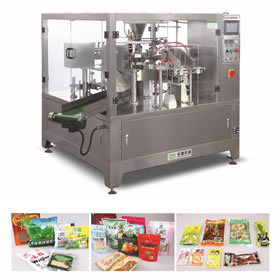 GD8-200A/B GD6-300A/B  给袋式包装机