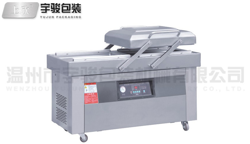 DZ-600/2SB双室真空包装机