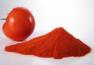 番茄粉/tomato powder