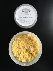 蛋粉/egg powder