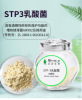 STP3乳酸菌