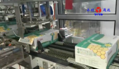 永创通达YCZX15跌落式饮料乳制品专用利乐装箱机