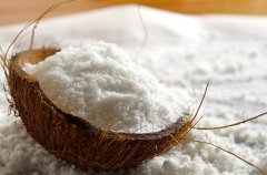 椰浆粉/coconut cream powder