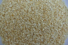 garlic granules 8-16mesh